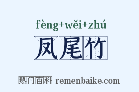 凤尾竹是什么意思的图片